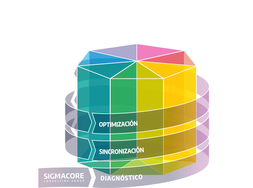 Paso 6: la capa de optimización
